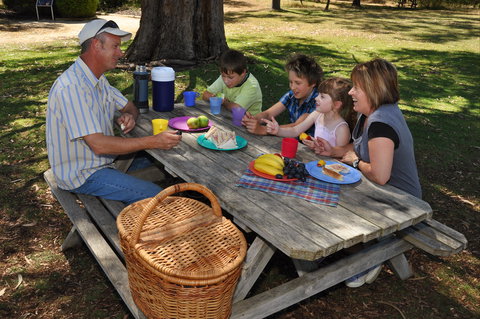 Naracoorte Caves Camping And Accomodation - ACT Tourism 0