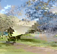 Pebbly Beach campground - Yuraygir National Park - ACT Tourism