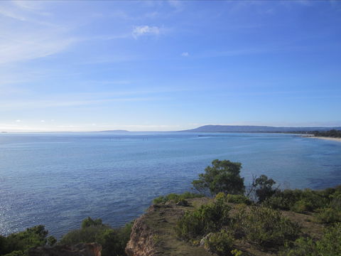 Plantation House At Whitecliffs - ACT Tourism 1