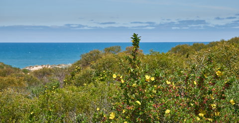 Preston Beach Front Apartment - ACT Tourism 0