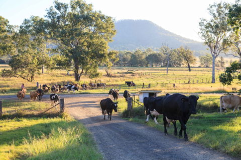 Tommerups Dairy Farmstay - ACT Tourism 0