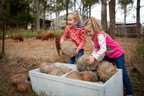 Tommerups Dairy Farmstay - ACT Tourism 2