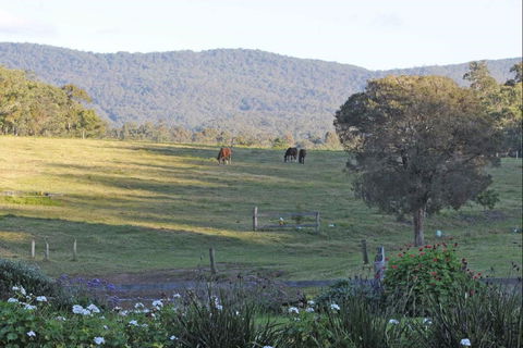 Wallaby Cottage - ACT Tourism 0