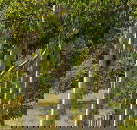 Stringybark Cottages - ACT Tourism