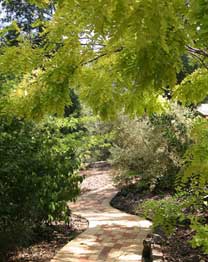 Eagle Hammer Cottages - ACT Tourism 0