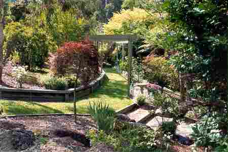 Mast Gully Gardens - ACT Tourism 2