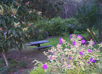 Sunway Farm B And B And Tours - ACT Tourism 2