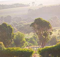 Mackas Farm - ACT Tourism