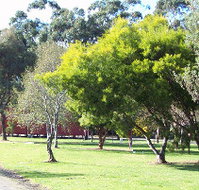 Otways Tourist Park - ACT Tourism