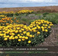 Alpine View Apartments - ACT Tourism