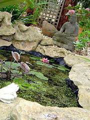 South Beach Haven - ACT Tourism 4