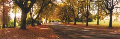 La Trobe At Beechworth - ACT Tourism 0