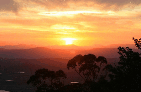 Avocado Sunset - ACT Tourism