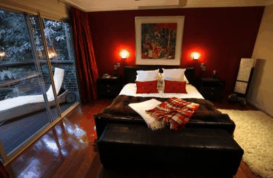 Songbirds Rainforest Retreat - ACT Tourism 4