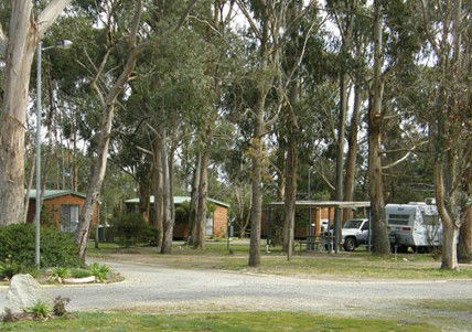 Shady Acres Caravan Park Ballarat - ACT Tourism 5