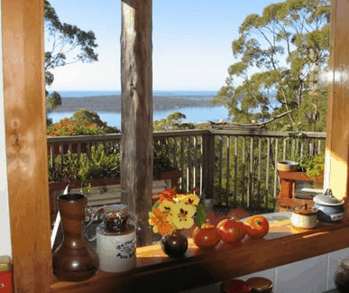 Bed In The Treetops - ACT Tourism 1