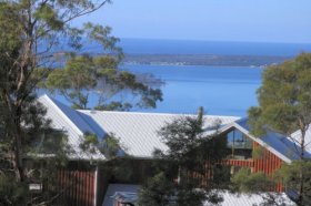 Bed In The Treetops - ACT Tourism 4