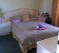 Lake Illawarra Bed & Breakfast - ACT Tourism 2