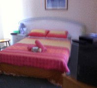 Lake Illawarra Bed & Breakfast - ACT Tourism 4