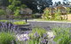 Luxury Blue Mountains Accommodation - thumb 5