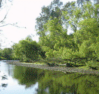 Ribbonwood Cottages - ACT Tourism