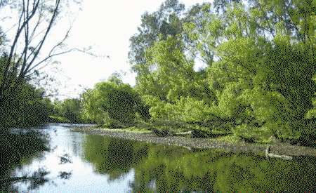 Ribbonwood Cottages - ACT Tourism 0