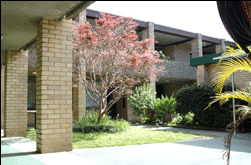 Amg Ryde Sydney - ACT Tourism