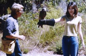 Eagles Heritage Raptor Wildlife Centre - ACT Tourism 2