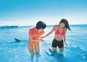 Kookaburra Air - ACT Tourism 0