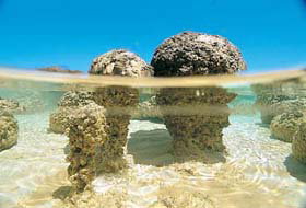 Kookaburra Air - ACT Tourism 2