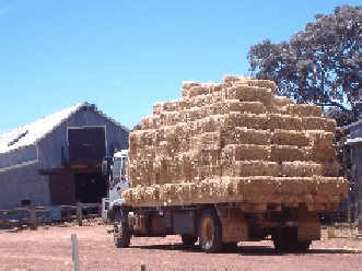 Avondale Discovery Farm - ACT Tourism 1