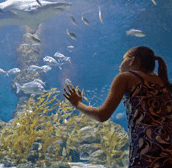 The Aquarium of Western Australia - ACT Tourism