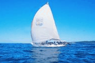 Manly Harbour Village - ACT Tourism 0