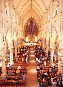 The Cathedral Of Saint Stephen - ACT Tourism 2