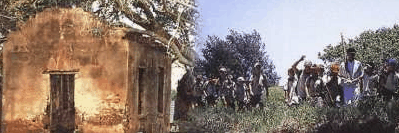 St Helena Island - ACT Tourism 1