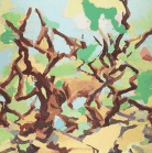 Edwina Corlette Gallery - ACT Tourism 2