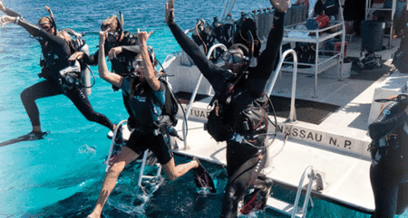 Snorkel Safari Brisbane - ACT Tourism