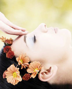 Retreat In The Suburbs - ACT Tourism 2