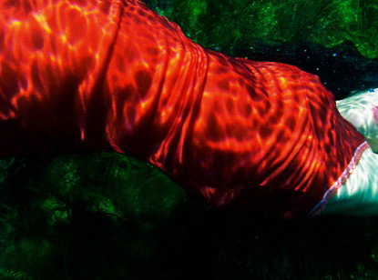 Dark Horse Experiment - ACT Tourism 0