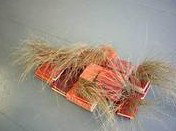 Brunswick Arts - ACT Tourism 2