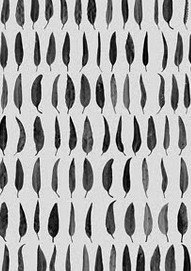 Carbon Black Gallery - ACT Tourism 1