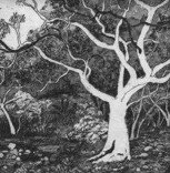 Tacit Contemporary Art - ACT Tourism 0