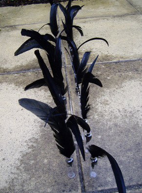 Town Hall Gallery - ACT Tourism 2