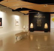 Counihan Gallery In Brunswick - ACT Tourism