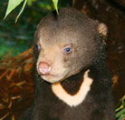 Perth Zoo - ACT Tourism