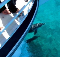 Pelican Charters - ACT Tourism