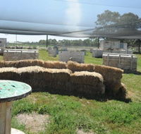 We Are Paintball - ACT Tourism