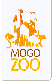 Mogo NSW ACT Tourism