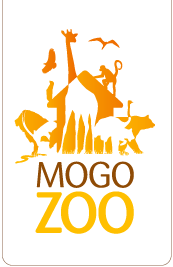 Mogo Zoo - ACT Tourism