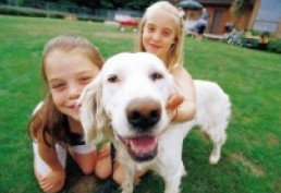 Camberwell Shopping Centre - ACT Tourism 2